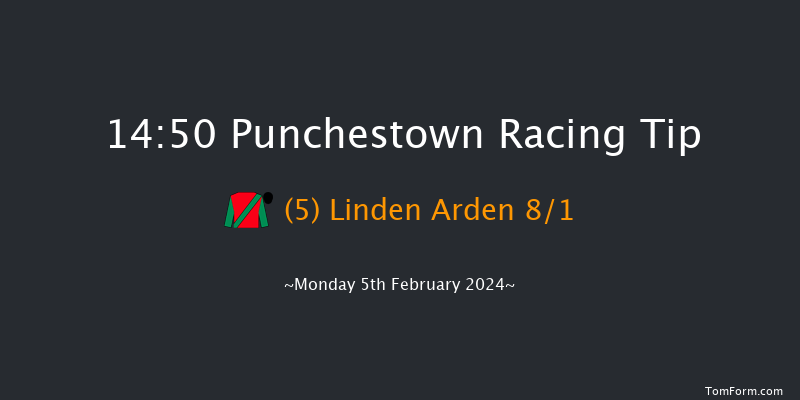 Punchestown  14:50 Maiden Hurdle
20f Mon 29th Jan 2024