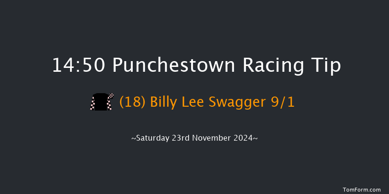 Punchestown  14:50 Handicap Hurdle 19f Fri 15th Nov 2024