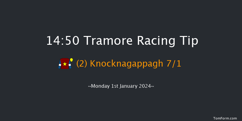 Tramore 14:50 Maiden Chase 16f Tue 28th Nov 2023