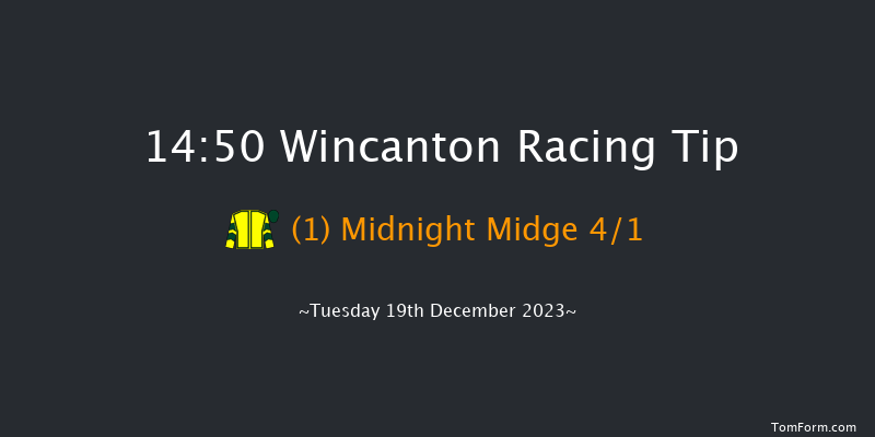 Wincanton 14:50 Handicap Chase (Class 4) 20f Tue 12th Dec 2023