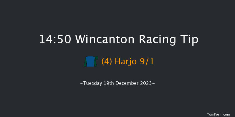 Wincanton 14:50 Handicap Chase (Class 4) 20f Tue 12th Dec 2023