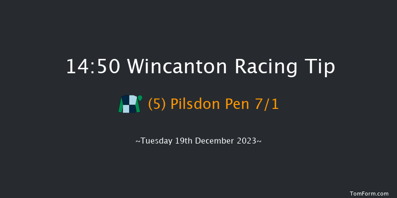 Wincanton 14:50 Handicap Chase (Class 4) 20f Tue 12th Dec 2023