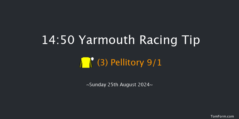 Yarmouth  14:50 Stakes (Class 4) 7f Mon 19th Aug 2024