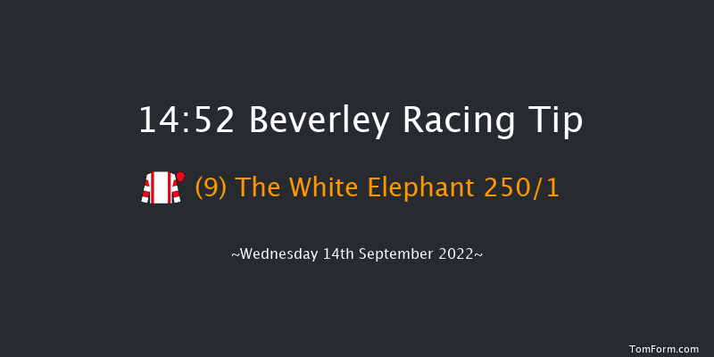 Beverley 14:52 Stakes (Class 5) 7f Sun 28th Aug 2022