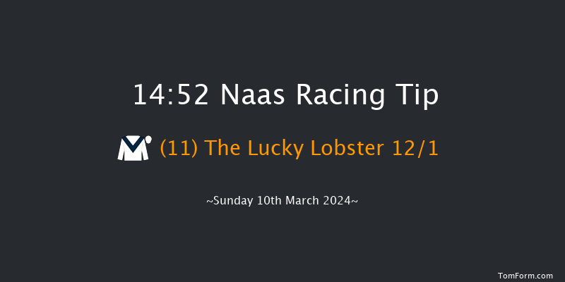 Naas  14:52 Handicap Hurdle 16f Sun 25th Feb 2024