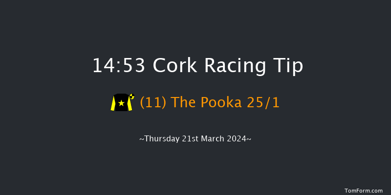 Cork  14:53 Maiden Hurdle 20f Sat 6th Jan 2024