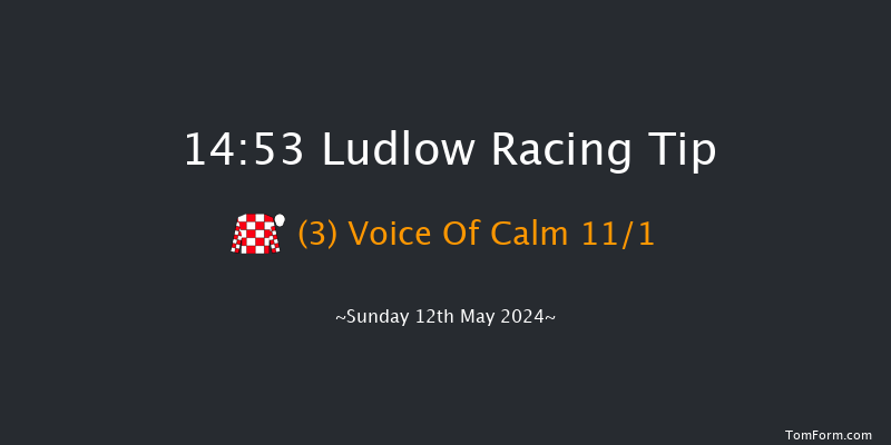 Ludlow  14:53 Handicap Chase (Class 4) 20f Wed 24th Apr 2024