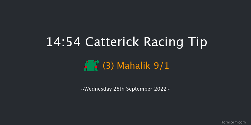 Catterick 14:54 Stakes (Class 5) 7f Sat 17th Sep 2022