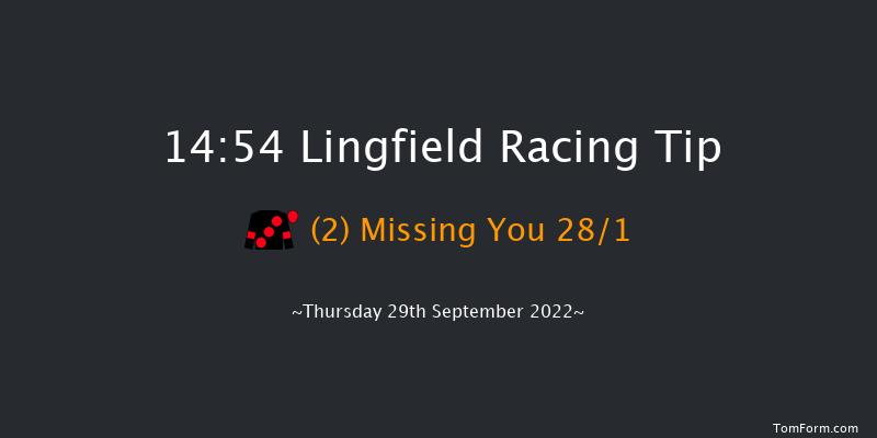 Lingfield 14:54 Stakes (Class 5) 7f Tue 20th Sep 2022