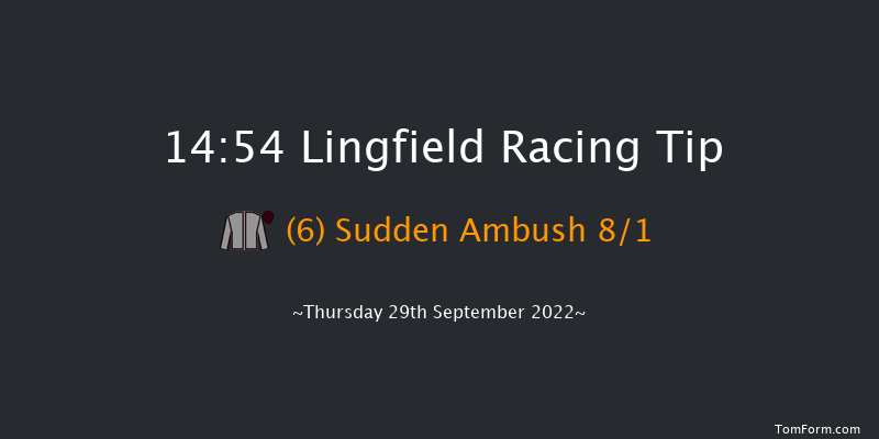 Lingfield 14:54 Stakes (Class 5) 7f Tue 20th Sep 2022