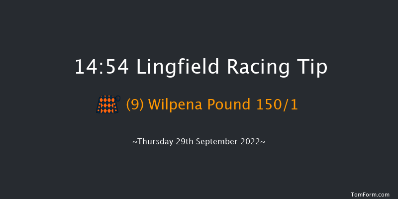 Lingfield 14:54 Stakes (Class 5) 7f Tue 20th Sep 2022