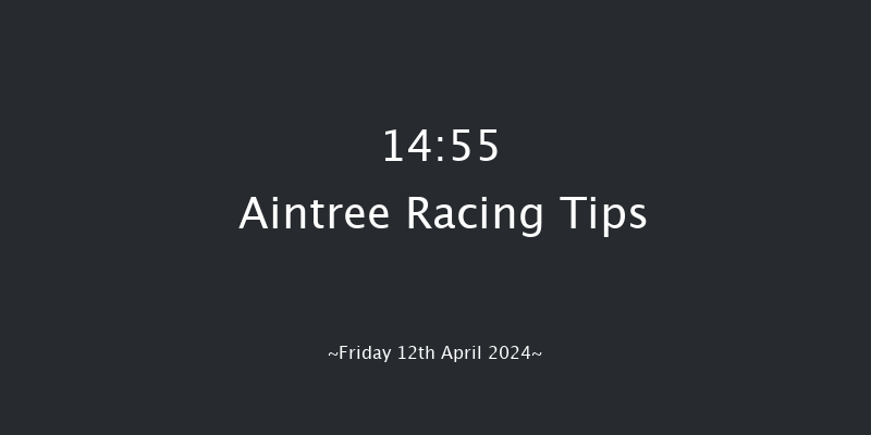 Aintree  14:55 Novices Hurdle (Class 1) 16f Thu 11th Apr 2024