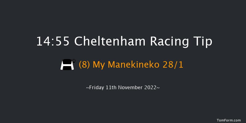 Cheltenham 14:55 Handicap Chase (Class 2) 20f Sat 22nd Oct 2022