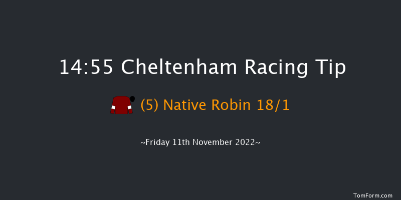 Cheltenham 14:55 Handicap Chase (Class 2) 20f Sat 22nd Oct 2022