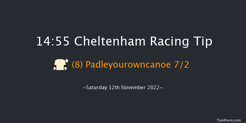 Cheltenham 14:55 Handicap Hurdle (Class 2) 24f Fri 11th Nov 2022