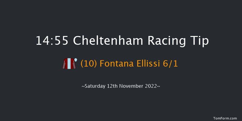 Cheltenham 14:55 Handicap Hurdle (Class 2) 24f Fri 11th Nov 2022