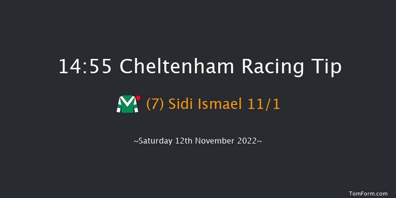 Cheltenham 14:55 Handicap Hurdle (Class 2) 24f Fri 11th Nov 2022