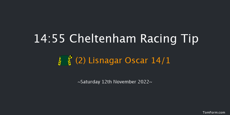 Cheltenham 14:55 Handicap Hurdle (Class 2) 24f Fri 11th Nov 2022