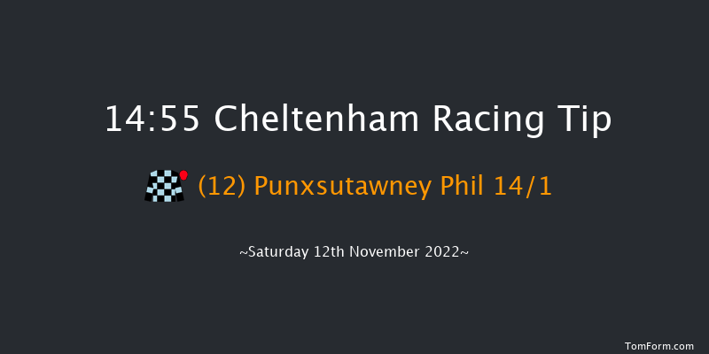 Cheltenham 14:55 Handicap Hurdle (Class 2) 24f Fri 11th Nov 2022