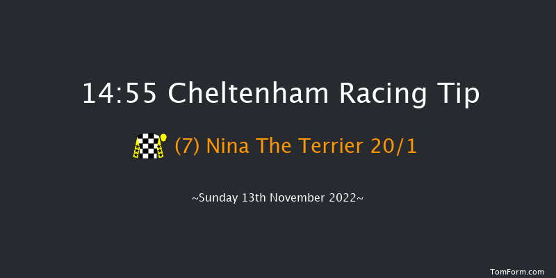 Cheltenham 14:55 Handicap Hurdle (Class 1) 16f Sat 12th Nov 2022