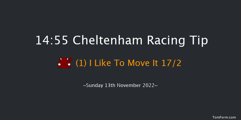 Cheltenham 14:55 Handicap Hurdle (Class 1) 16f Sat 12th Nov 2022