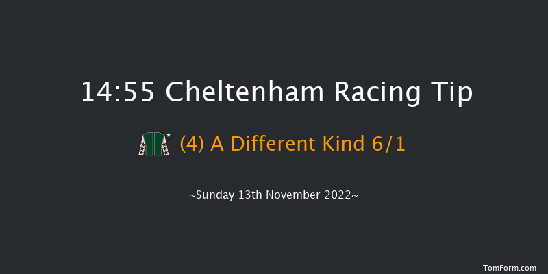 Cheltenham 14:55 Handicap Hurdle (Class 1) 16f Sat 12th Nov 2022