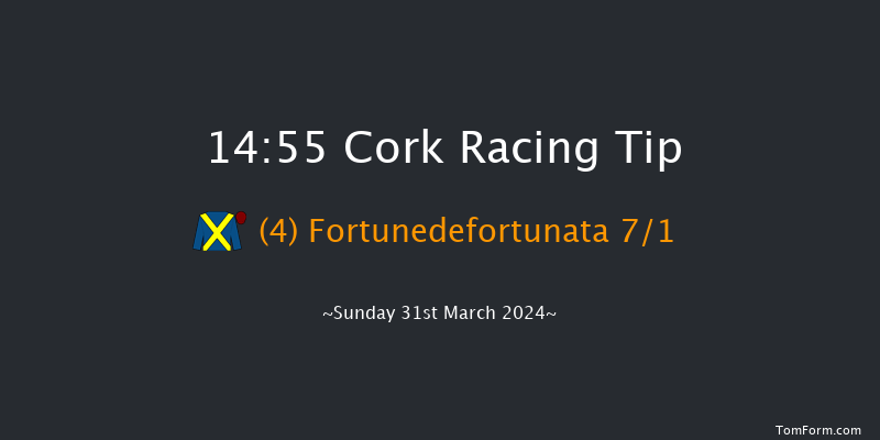 Cork  14:55 Maiden Chase 17f Sat 30th Mar 2024