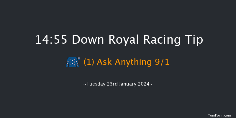 Down Royal  14:55 Novices
Chase 16f Tue 26th Dec 2023