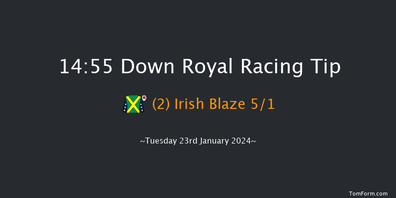 Down Royal  14:55 Novices
Chase 16f Tue 26th Dec 2023