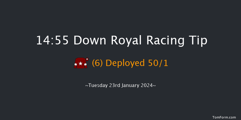 Down Royal  14:55 Novices
Chase 16f Tue 26th Dec 2023