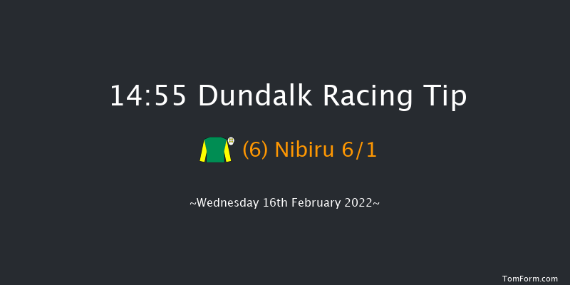 Dundalk 14:55 Handicap 11f Fri 11th Feb 2022