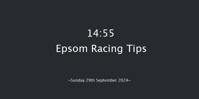 Epsom  14:55 Stakes (Class 4) 10f  Thu 12th Sep 2024