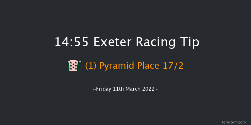 Exeter 14:55 Handicap Hurdle (Class 4) 17f Fri 25th Feb 2022