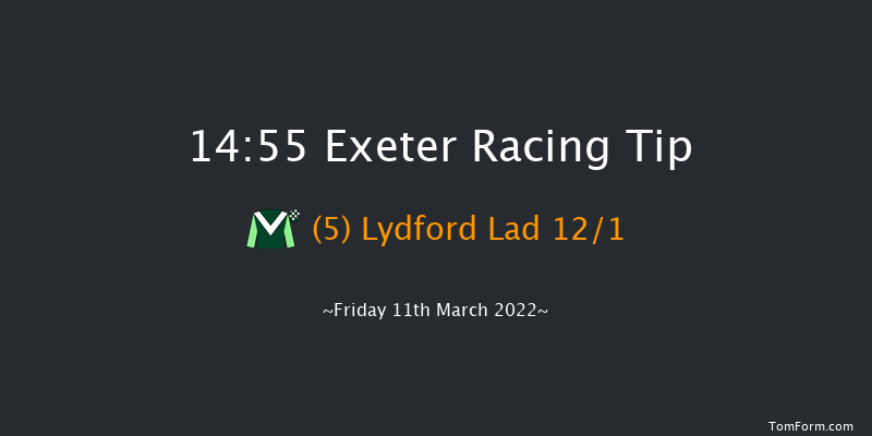 Exeter 14:55 Handicap Hurdle (Class 4) 17f Fri 25th Feb 2022