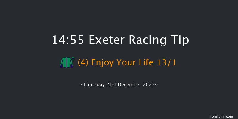 Exeter 14:55 Handicap Chase (Class 3) 24f Wed 13th Dec 2023