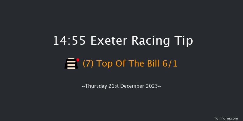 Exeter 14:55 Handicap Chase (Class 3) 24f Wed 13th Dec 2023