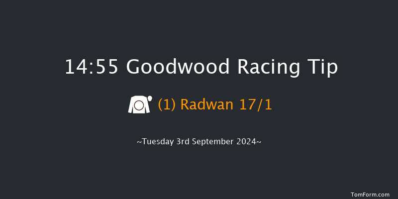 Goodwood  14:55 Stakes (Class 4) 10f  Sun 25th Aug 2024