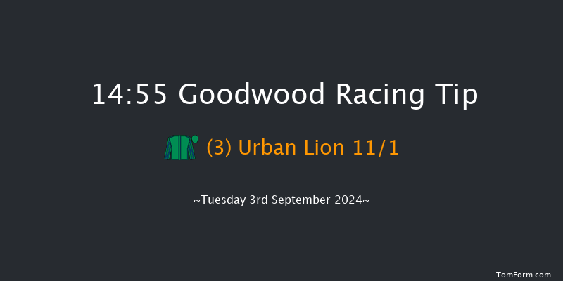 Goodwood  14:55 Stakes (Class 4) 10f  Sun 25th Aug 2024