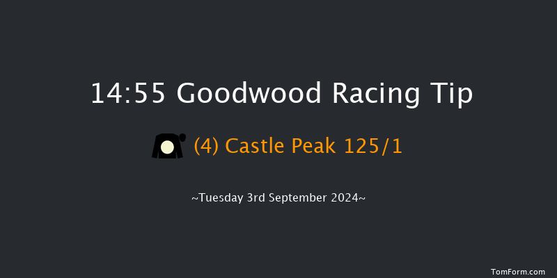 Goodwood  14:55 Stakes (Class 4) 10f  Sun 25th Aug 2024