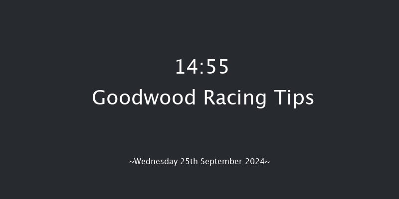 Goodwood  14:55 Handicap (Class 2) 8f Tue 3rd Sep 2024