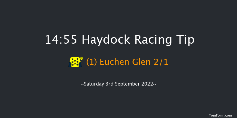 Haydock 14:55 Handicap (Class 2) 14f Fri 2nd Sep 2022