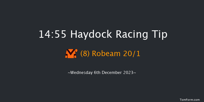 Haydock 14:55 Handicap Hurdle (Class 4) 24f Sat 25th Nov 2023