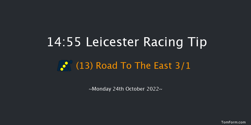 Leicester 14:55 Stakes (Class 4) 6f Tue 11th Oct 2022