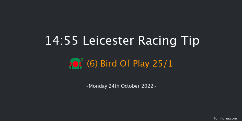 Leicester 14:55 Stakes (Class 4) 6f Tue 11th Oct 2022