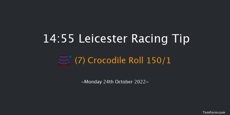 Leicester 14:55 Stakes (Class 4) 6f Tue 11th Oct 2022