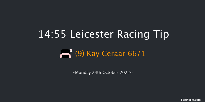 Leicester 14:55 Stakes (Class 4) 6f Tue 11th Oct 2022