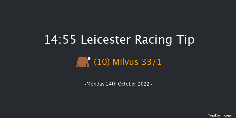 Leicester 14:55 Stakes (Class 4) 6f Tue 11th Oct 2022