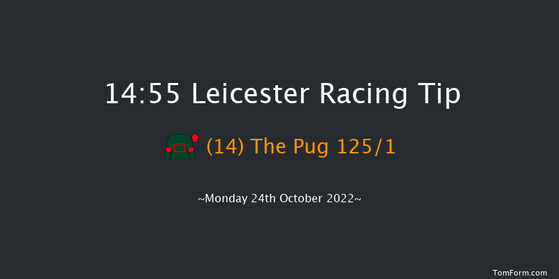 Leicester 14:55 Stakes (Class 4) 6f Tue 11th Oct 2022