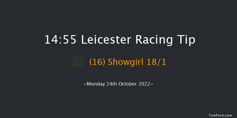 Leicester 14:55 Stakes (Class 4) 6f Tue 11th Oct 2022