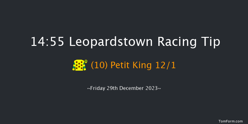 Leopardstown 14:55 Handicap Hurdle 20f Thu 28th Dec 2023